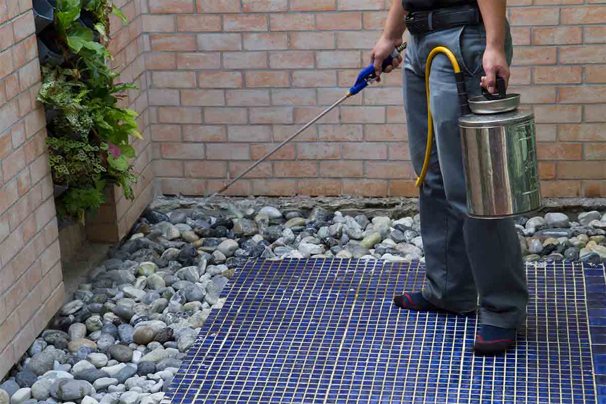 Professional exterminator spraying the perimeter of a patio