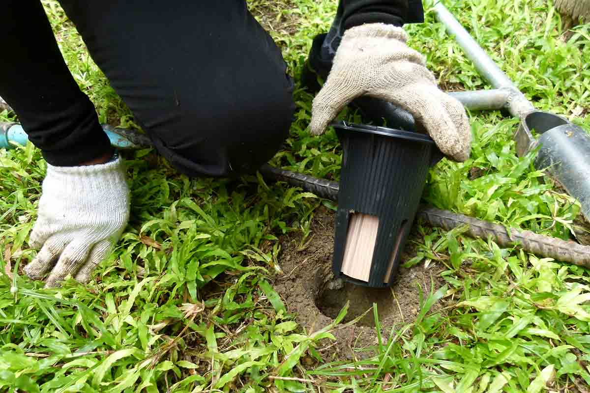 Termite professional checking a termite bait system