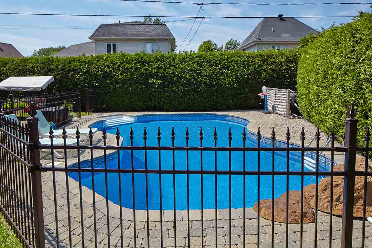 Backyard pool surrounded by black metal fence