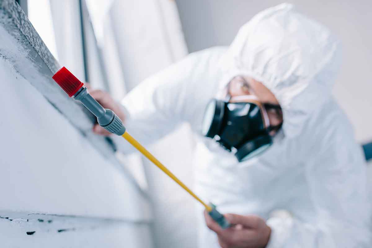 pest control worker spraying for insects