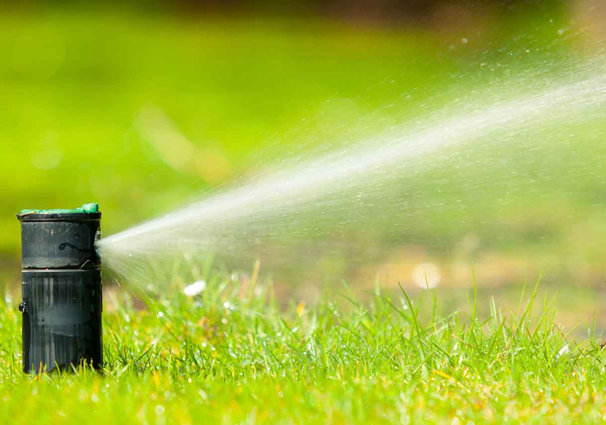 sprinkler spraying grass