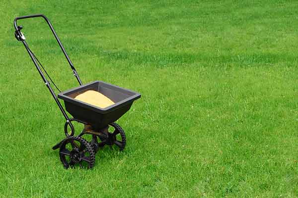 lawn fertilizer spreader on green lawn