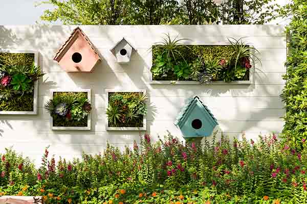 birdhouses and vertical wall gardens