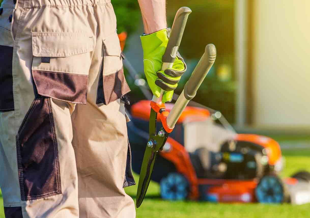 landscaping professional with shears