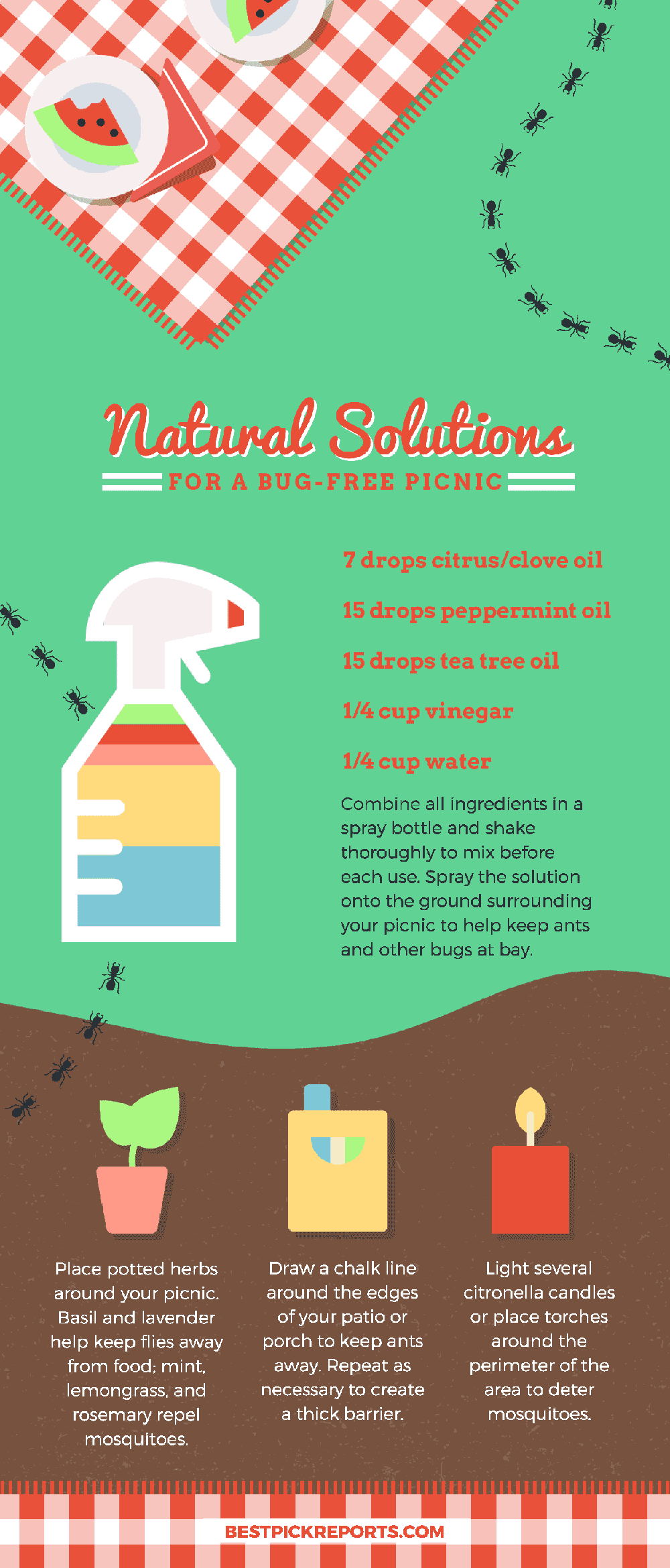 Infographic on Natural Solutions to Keep Bugs Away from Your Picnic