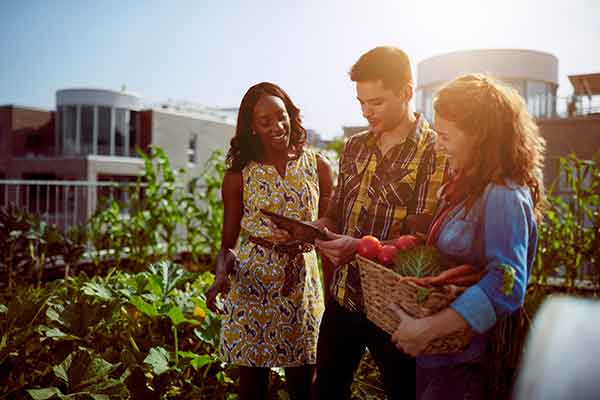 people in community garden