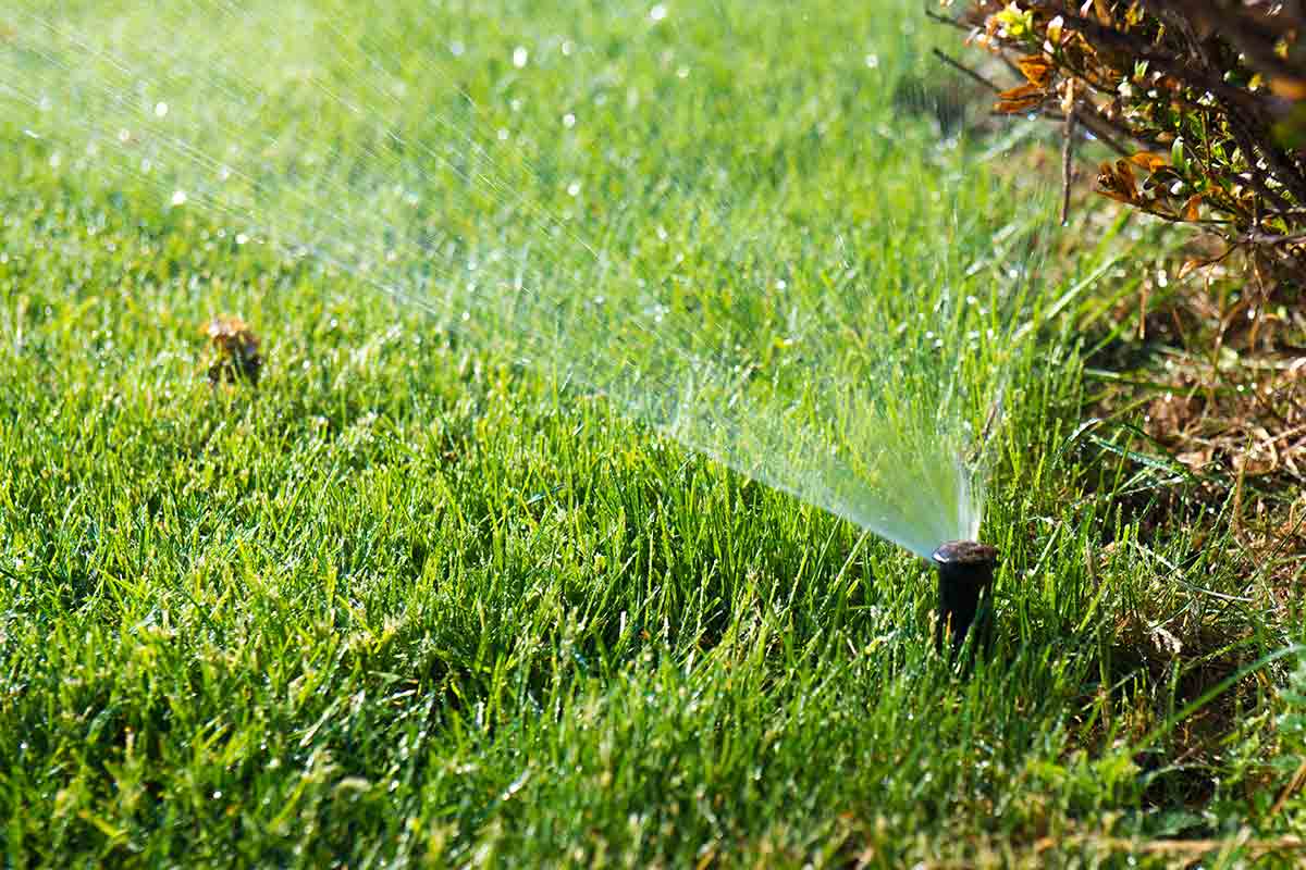 How Do Sprinkler System Zones Work? | Best Pick Reports