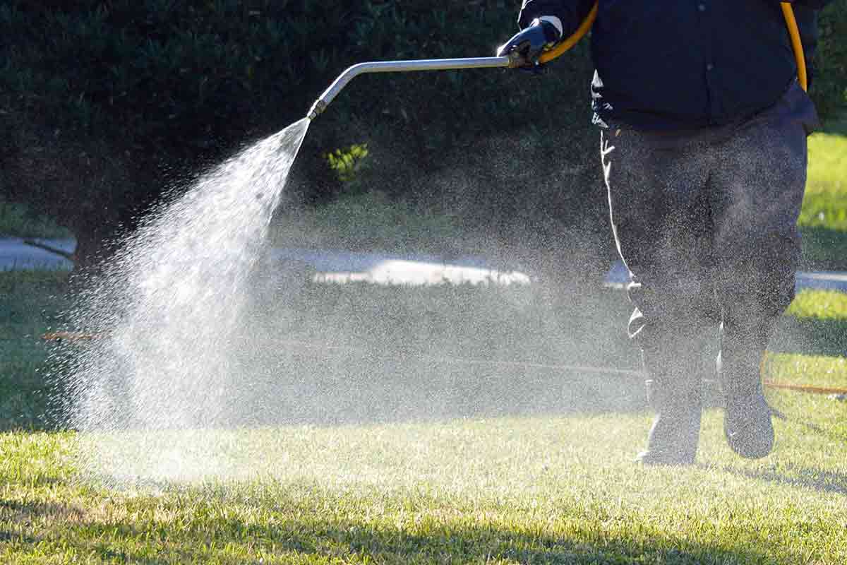 Man spraying liquid fertilizer on lawn