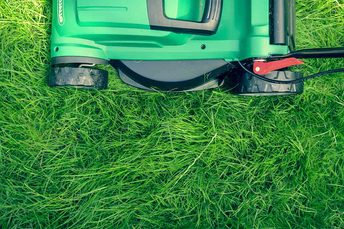 lawn mower from above mowing green grass