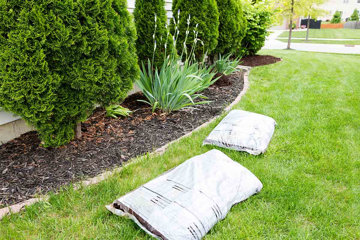 mulch around a house