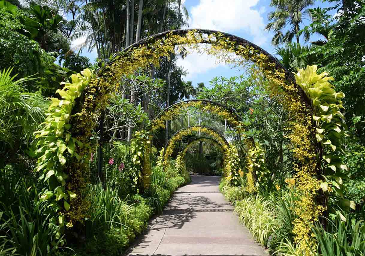 walkway with plant-covered arches