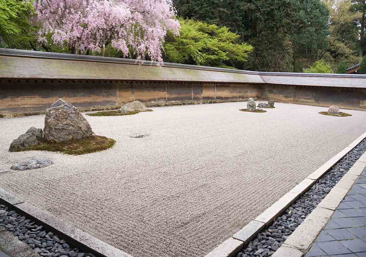 trees overhanging a rock garden