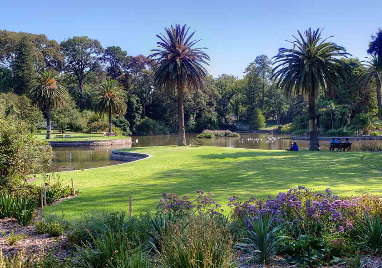 plants and trees around a pond