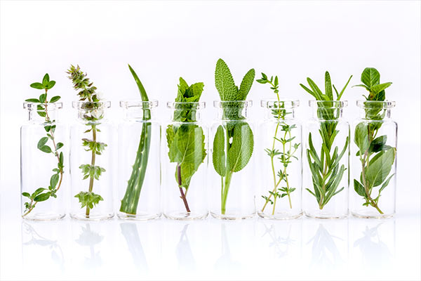 isolated jars holding different herbs