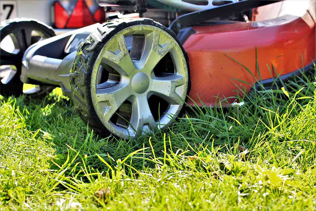 Close-up image of lawn mower in grass