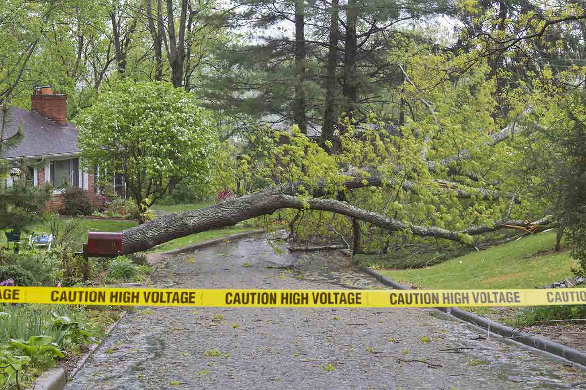 tree fallen in neighborhood sectioned off with caution tape