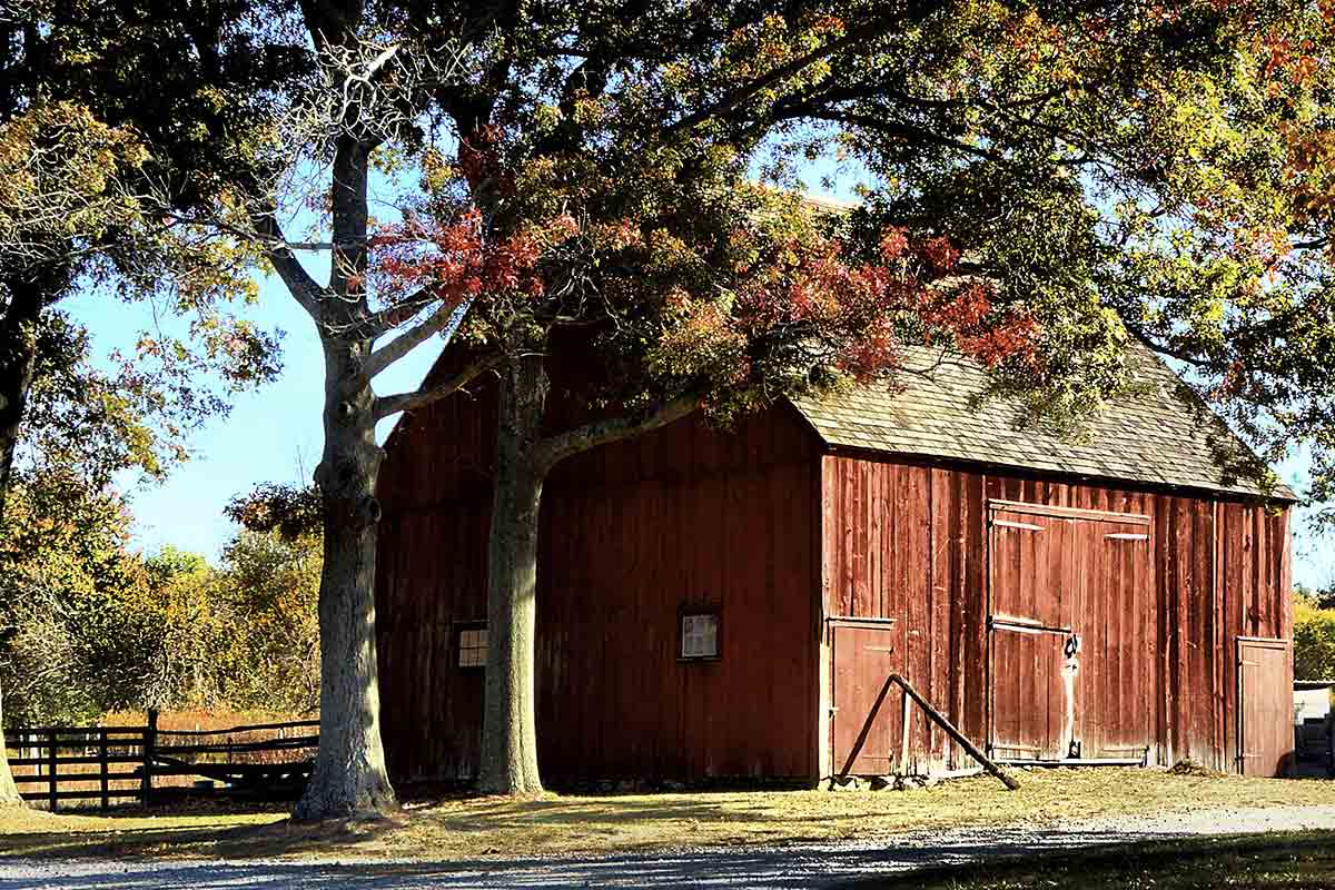 red barn behind some trees