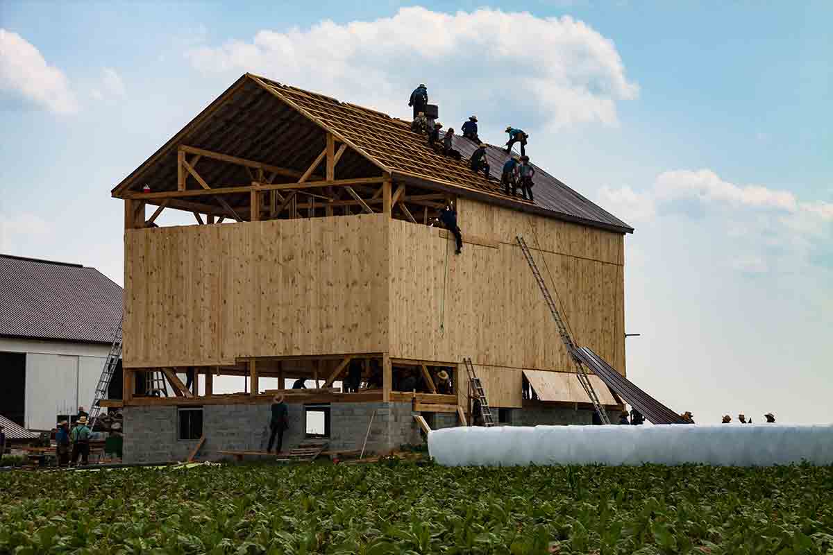 workers building a barn