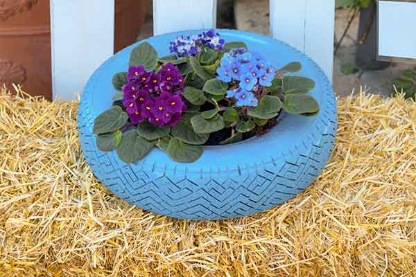 flowers in a painted blue tire sitting on hay