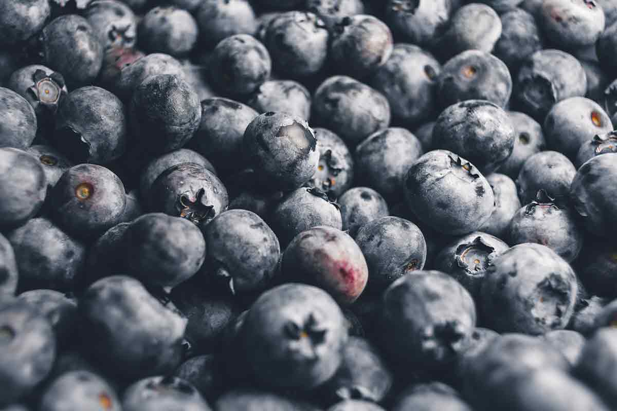 Photo filled with blueberries