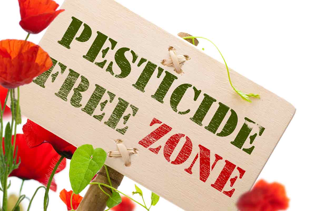 Pesticide free zone sign with flowers