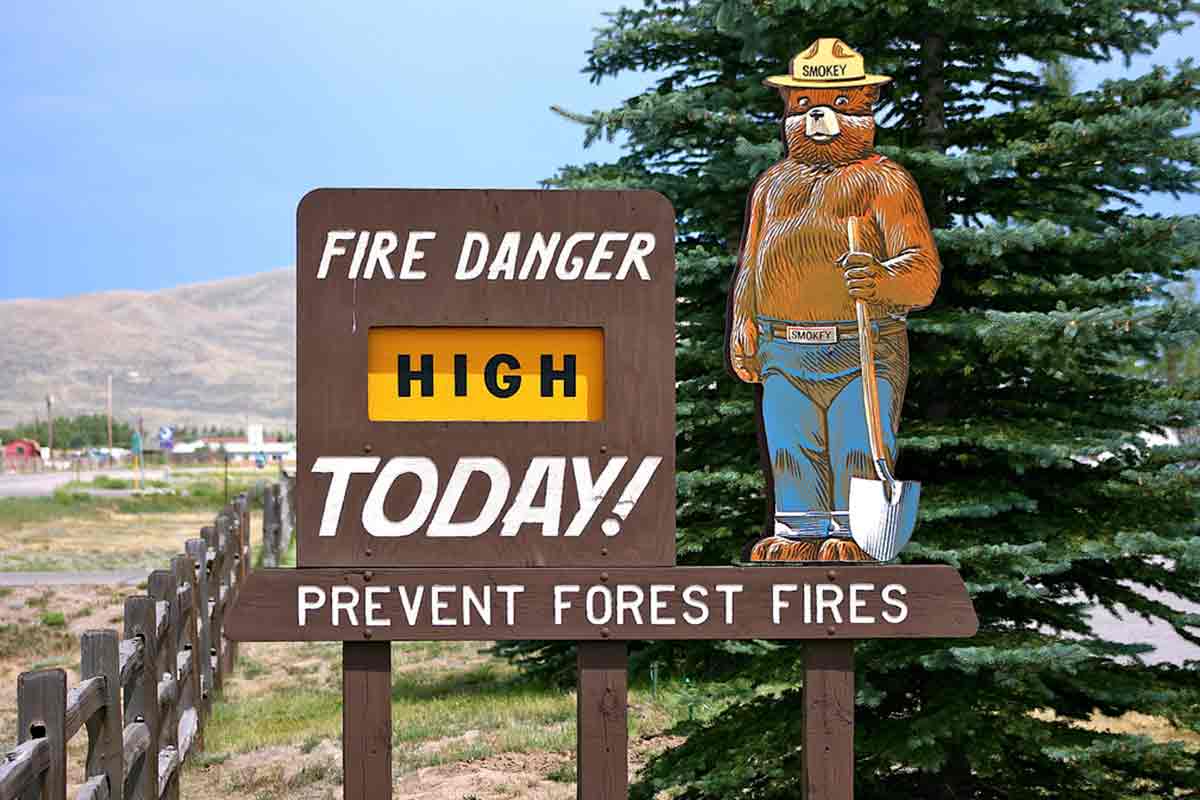 Smokey the Bear with fire risk sign