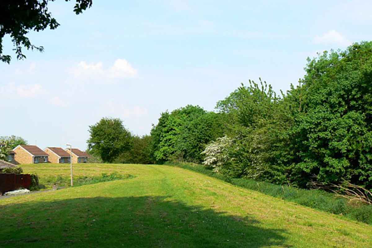 green zone between homes and trees