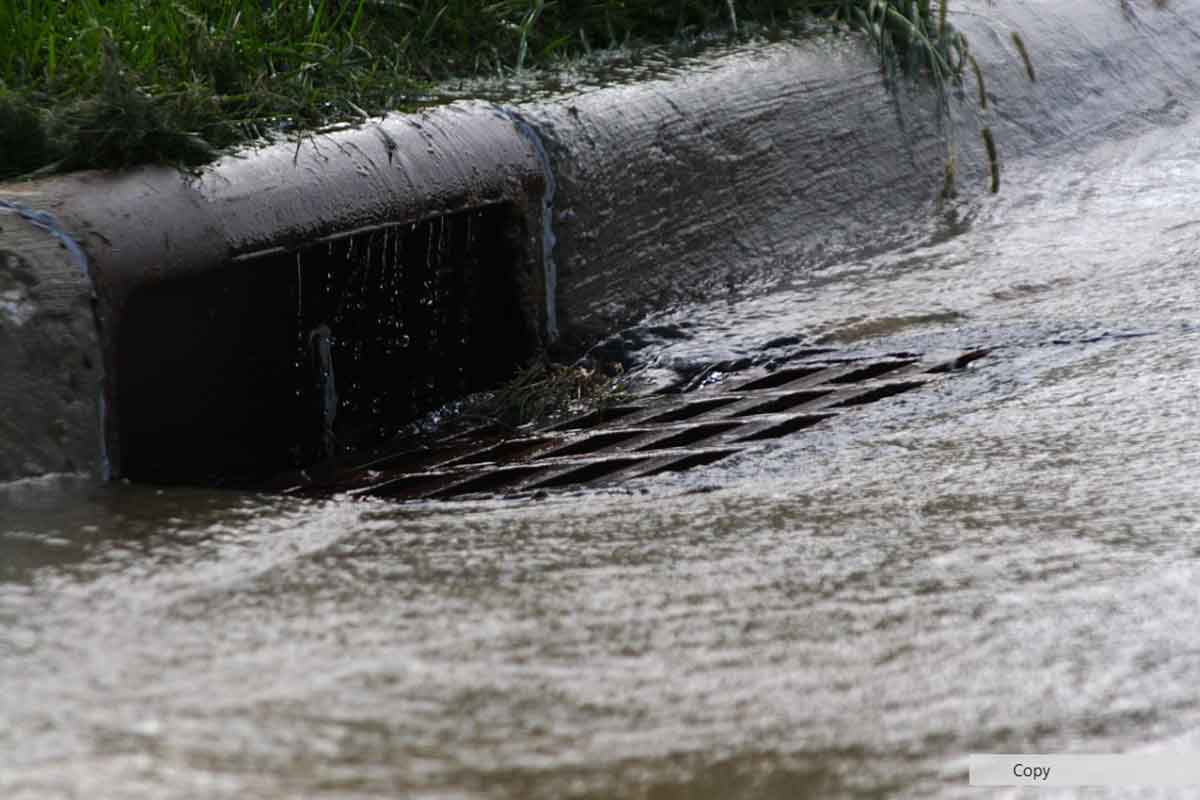 rainwater draining into residential storm drain