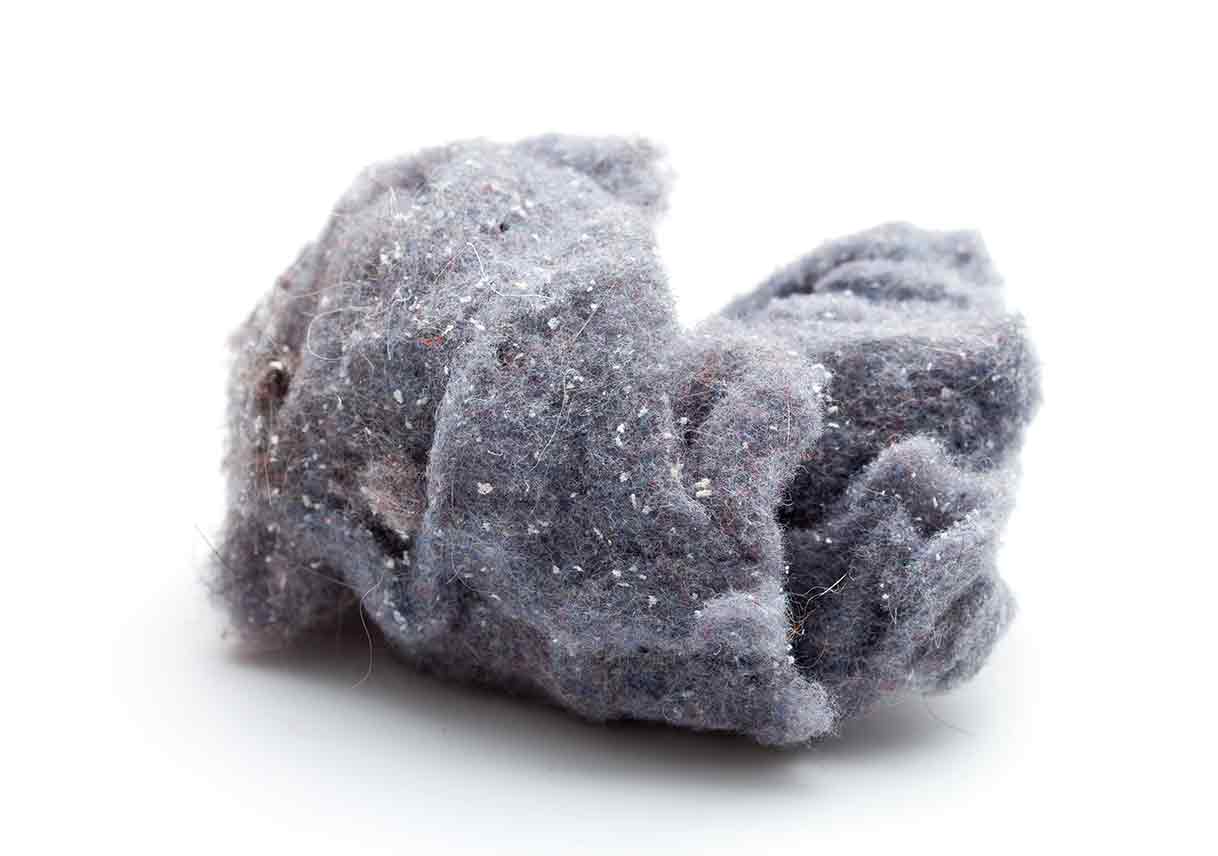 a wad of dryer lint