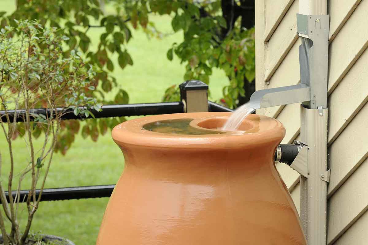 rain barrel being filled during storm