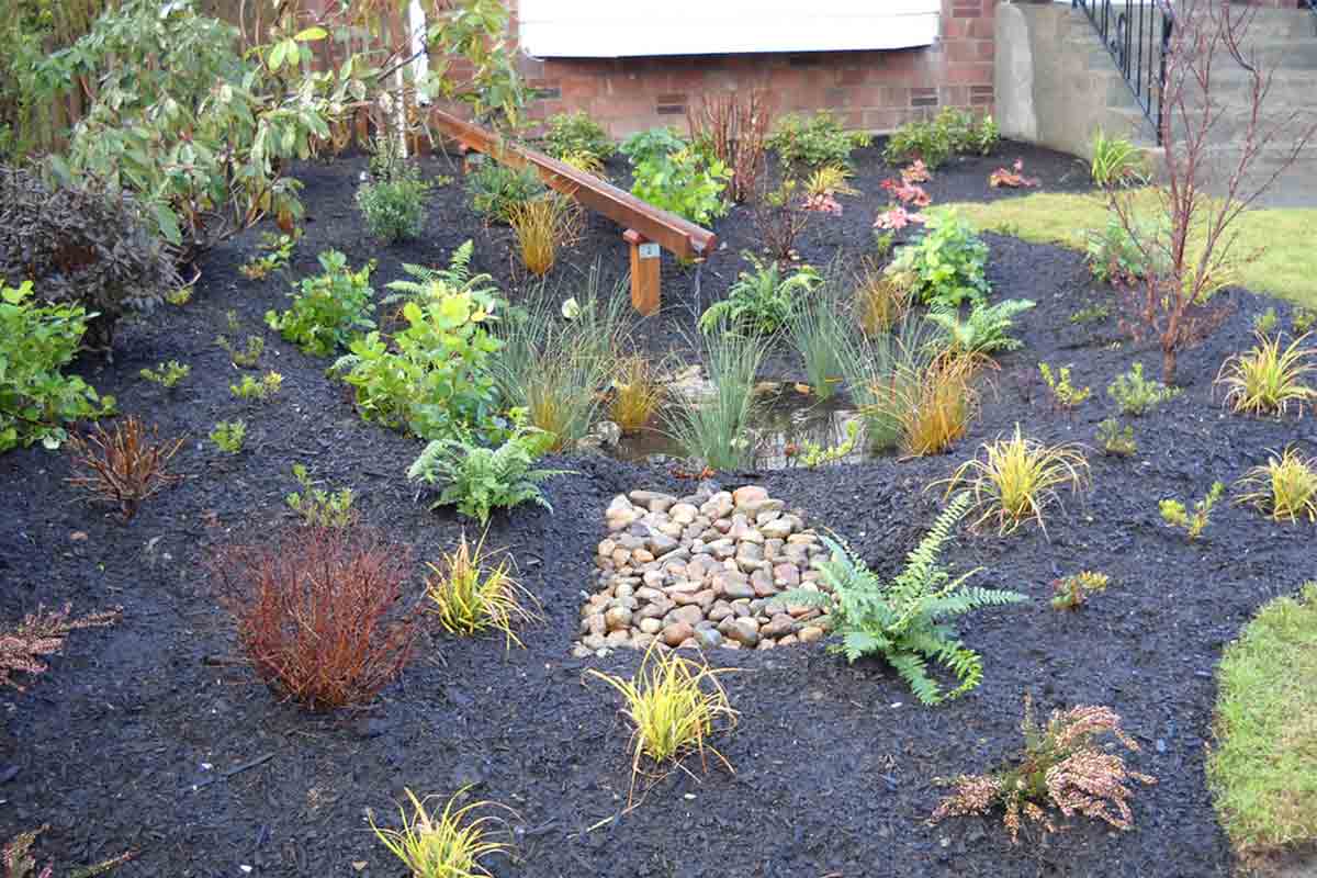 rain wise garden with plants, mulch, and rocks