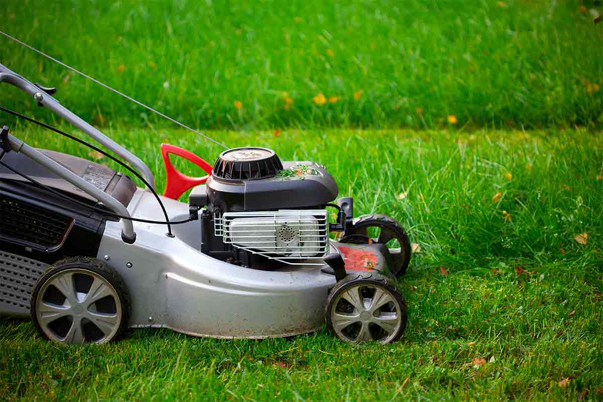 lawn mower on green grass