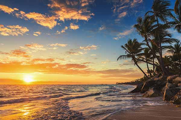 a tropical beach landscape