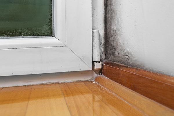 mold by glass door with condensation