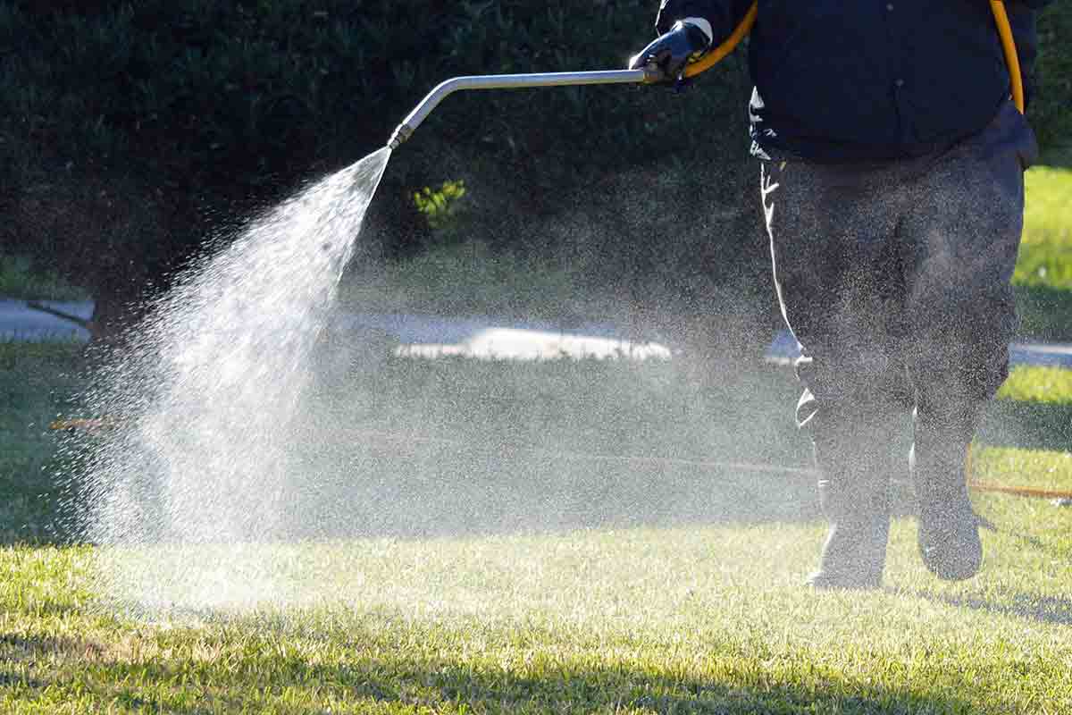 lawn maintenance technician spraying yard