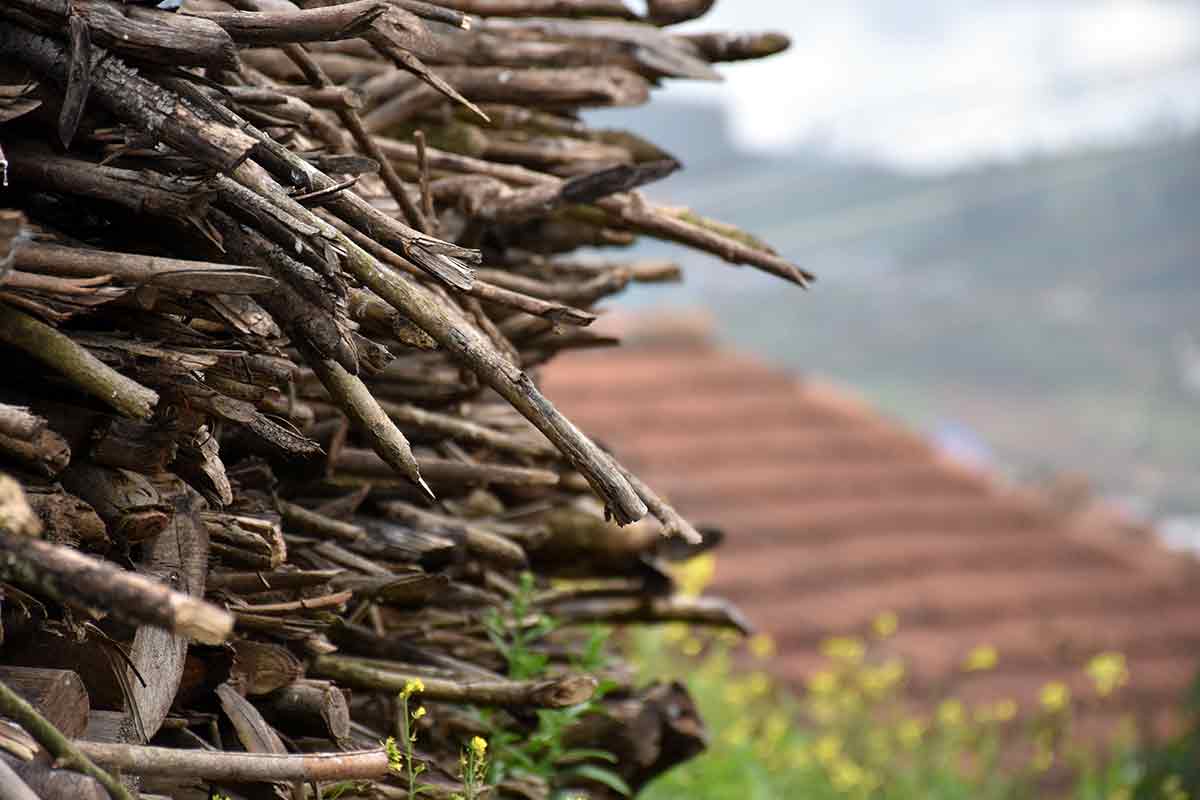 stacked tree branches