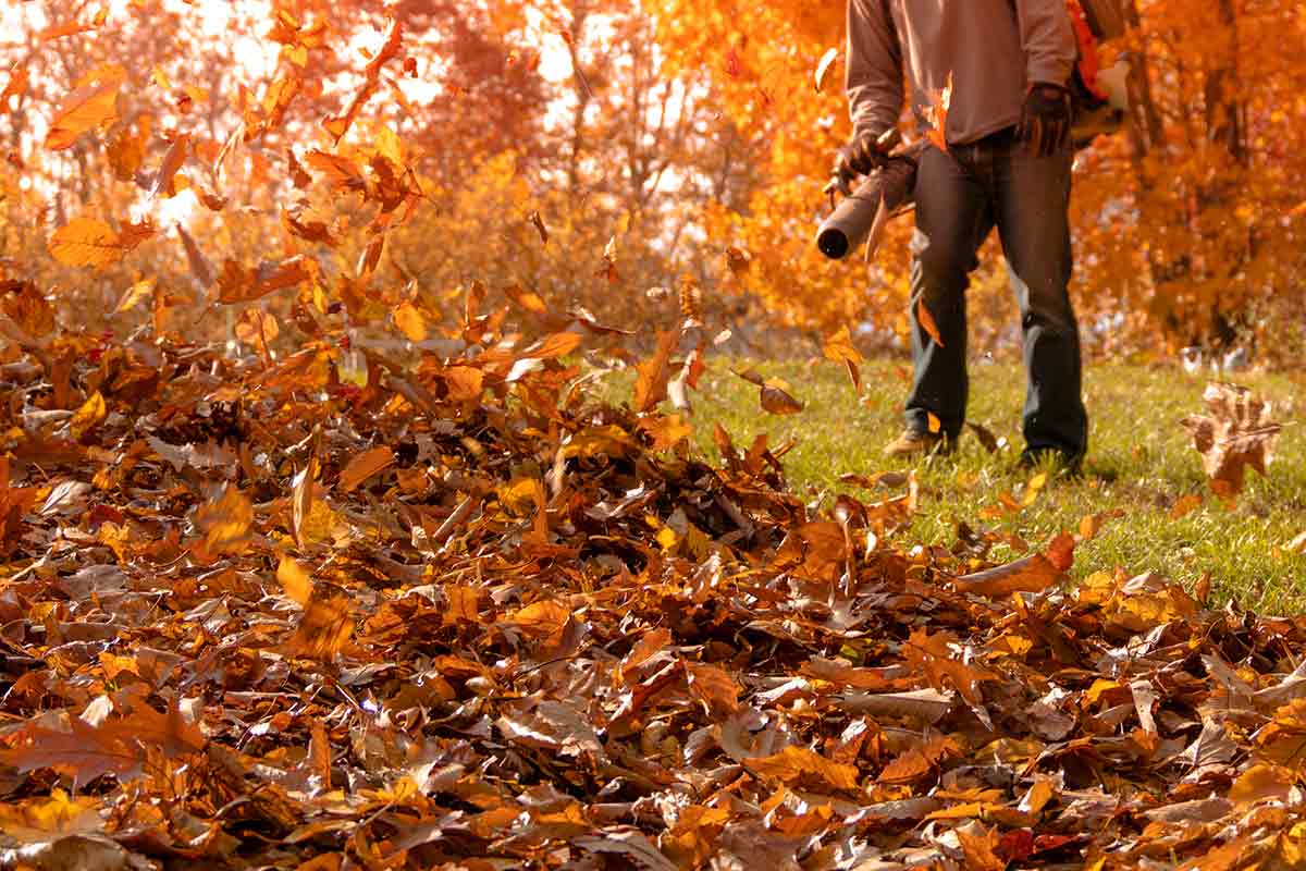 homeowner using a leaf blower