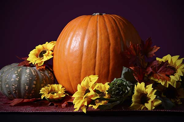 pumpkin centerpiece with fall flowers