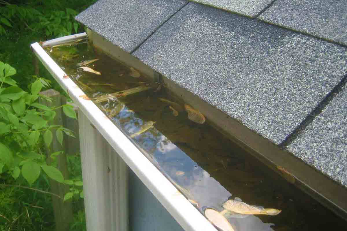 clogged gutters with water backup