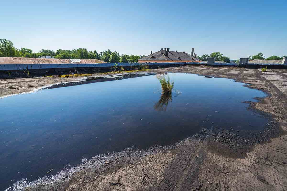 flat roof with standing water