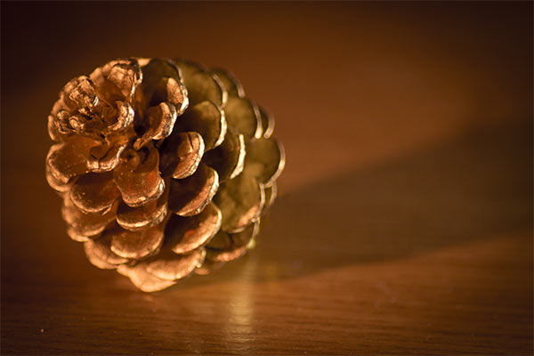 golden pinecone resting on a wooden table