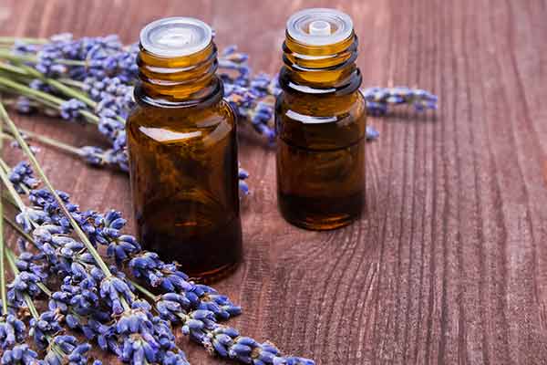 two essential oil bottles with lavender sprigs