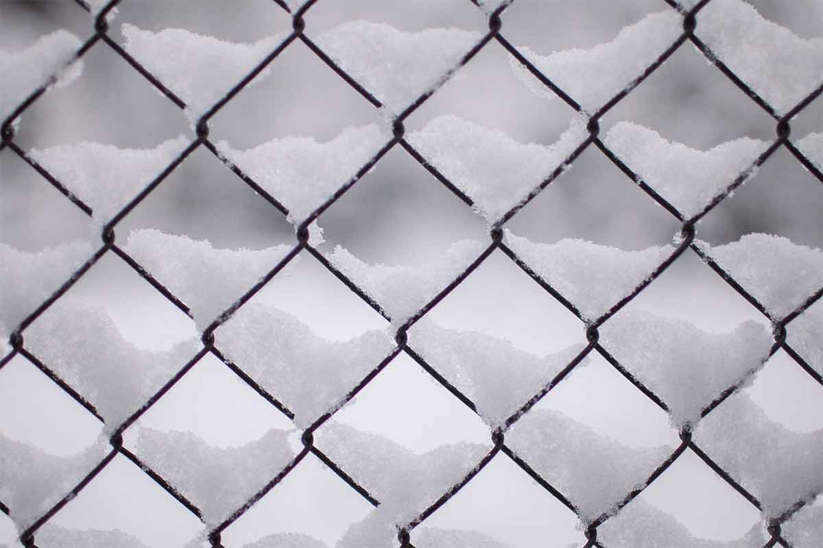 chainlink fence in snow