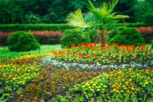 Garden Landscaping Design. Flower Bed, Green Trees And Bushes