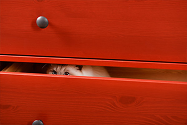 cat hiding in red dresser drawer