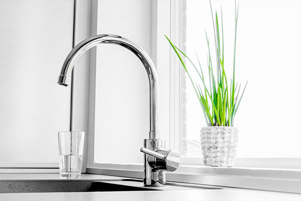 chrome kitchen sink faucet in modern kitchen with green plant