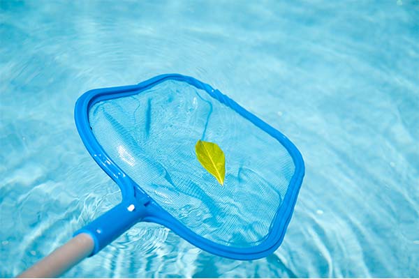 closeup of pool skimmer with leaf