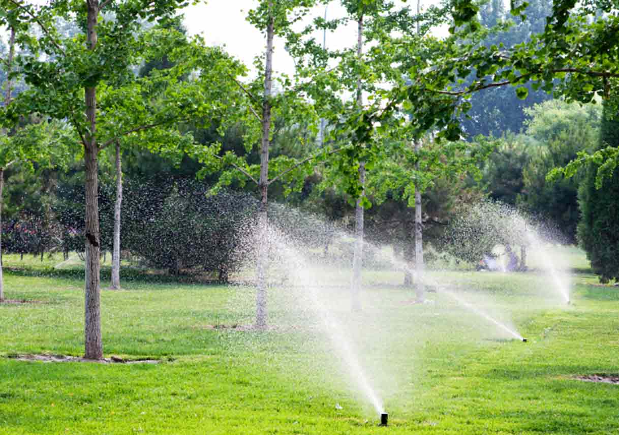 How Sprinkler System Zones Work Best Pick Reports